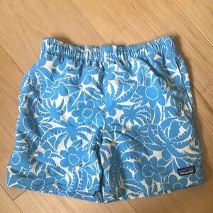 Patagonia Blue and White Baggies Shorts